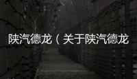 陜汽德龍（關(guān)于陜汽德龍的基本情況說明介紹）