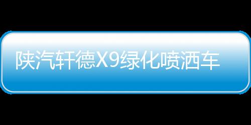 陜汽軒德X9綠化噴灑車12方