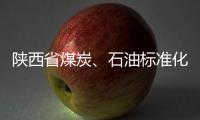陜西省煤炭、石油標準化技術委員會成立