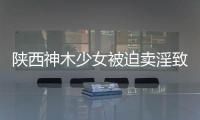 陜西神木少女被迫賣淫致死案維持原裁定家屬：還會申訴