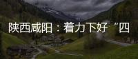 陜西咸陽：著力下好“四步棋”打好食品安全“整治仗”