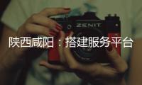 陜西咸陽：搭建服務平臺 促醫藥產業發展