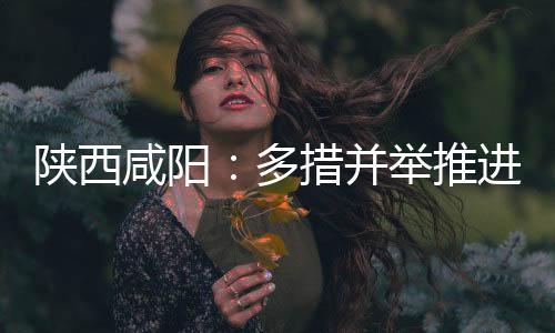 陜西咸陽：多措并舉推進平安建設工作見成效