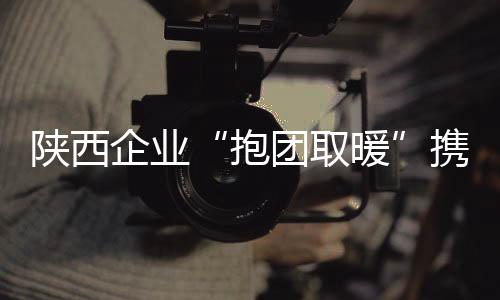 陜西企業(yè)“抱團取暖”攜手力挽光伏產(chǎn)業(yè),行業(yè)資訊
