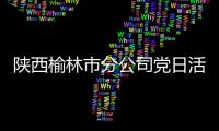 陜西榆林市分公司黨日活動開展扶貧慰問