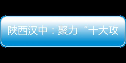 陜西漢中：聚力“十大攻堅行動” 讓群眾吃得放心