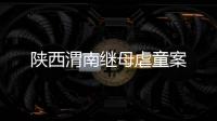 陜西渭南繼母虐童案