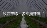 陜西寶雞：多舉措開展“世界標準日”宣傳活動