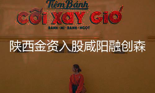 陜西金資入股咸陽融創森嶼城,首筆資金4億到位