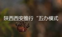 陜西西安推行“五辦模式” 實現(xiàn)企業(yè)開辦0.5個工作日辦結(jié)