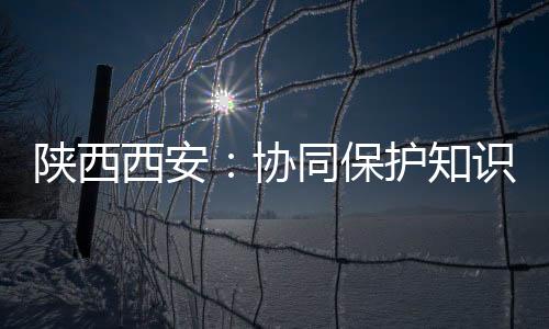 陜西西安：協同保護知識產權 專業保障行政裁決