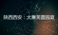 陜西西安：大唐芙蓉園夏日景色迎客來