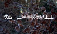 陜西：上半年規(guī)模以上工業(yè)增加值增速位居全國第一