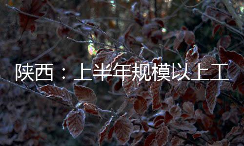 陜西：上半年規模以上工業增加值增速位居全國第一