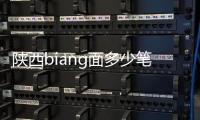 陜西biang面多少筆畫（陜西什么面筆畫最多）