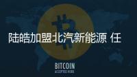 陸皓加盟北汽新能源 任營銷副總經理