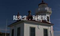陸先生，別惹我