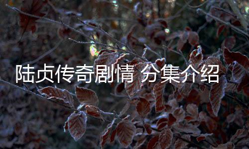 陸貞傳奇劇情 分集介紹