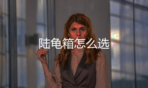 陸龜箱怎么選