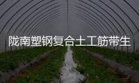 隴南塑鋼復(fù)合土工筋帶生產(chǎn)廠家