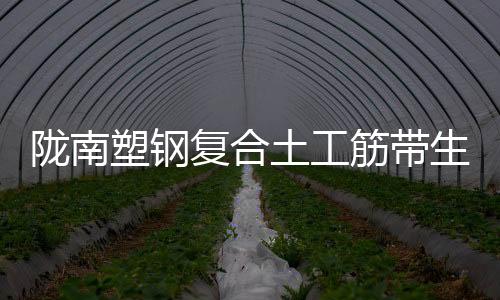 隴南塑鋼復合土工筋帶生產廠家