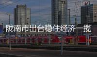隴南市出臺穩住經濟一攬子政策