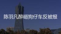 陳羽凡醉砸狗仔車反被報警 胡海泉力挺兄弟