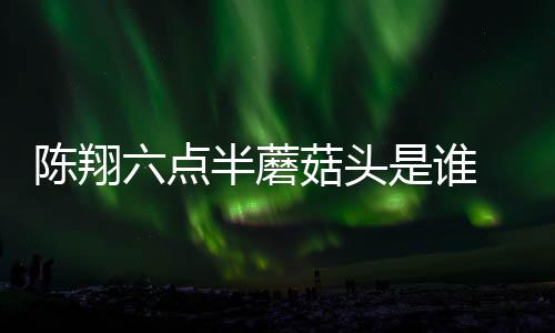 陳翔六點半蘑菇頭是誰 蘑菇頭黃曉飛和腿腿劉潔什么關系