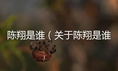 陳翔是誰（關于陳翔是誰的基本情況說明介紹）