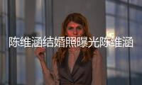 陳維涵結(jié)婚照曝光陳維涵老公是誰(shuí) 她被稱為女軍官專業(yè)戶