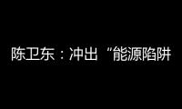 陳衛(wèi)東：沖出“能源陷阱”
