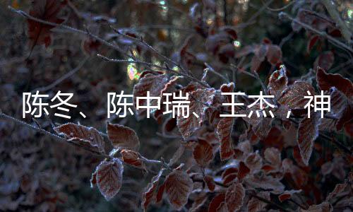 陳冬、陳中瑞、王杰，神舟二十號航天員確定