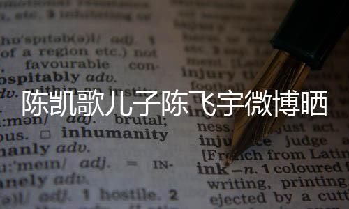 陳凱歌兒子陳飛宇微博曬近照 越長越英氣
