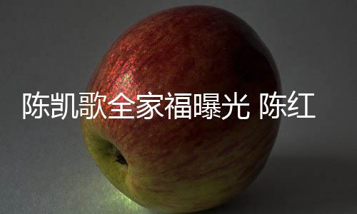 陳凱歌全家福曝光 陳紅端莊兒子陽光帥氣