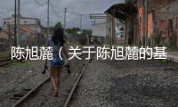陳旭麓（關于陳旭麓的基本情況說明介紹）