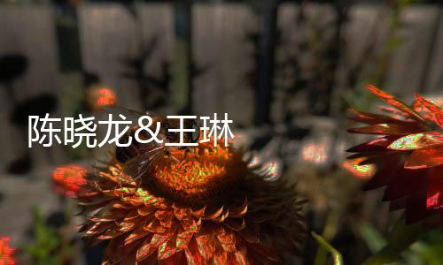陳曉龍&王琳Nat. Commun.：探測二維材料的層間剪切形變 – 材料牛