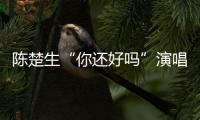 陳楚生“你還好嗎”演唱會成都站延期