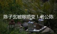 陳子玄被曝婚變！老公陳建隆發(fā)文：你自由的飛吧