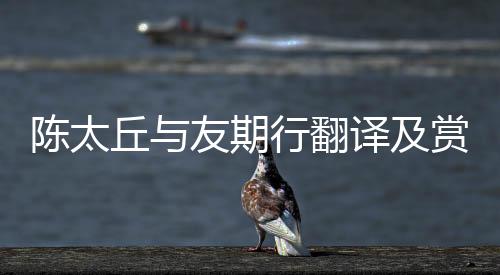 陳太丘與友期行翻譯及賞析（陳太丘與友期翻譯）