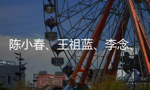 陳小春、王祖藍(lán)、李念、費(fèi)啟鳴都來了！超強(qiáng)明星陣容齊聚京東超市寶貝趴