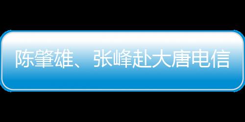 陳肇雄、張峰赴大唐電信集團開展5G調研