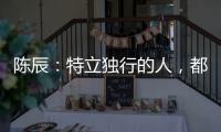 陳辰：特立獨(dú)行的人，都美