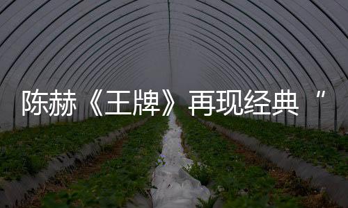 陳赫《王牌》再現經典“羋月” 頻爆金句引爆笑