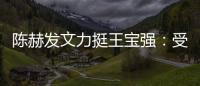 陳赫發文力挺王寶強：受夠了道德綁架