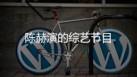 陳赫演的綜藝節目