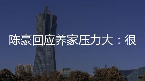 陳豪回應養家壓力大：很榮幸為家人付出 珍惜每個工作機會