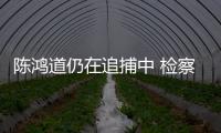 陳鴻道仍在追捕中 檢察院稱錯寫為“終止”