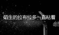 陌生的拉布拉多一直粘著主人  拉布拉多一直粘著我怎么辦