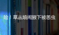 險！草叢嬉鬧腋下被恙蟲咬 南平男童險喪命