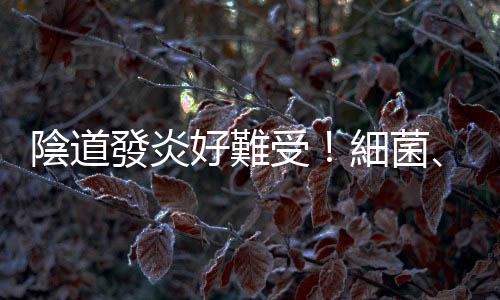 陰道發炎好難受！細菌、黴菌、陰道滴蟲感染癥狀各不同